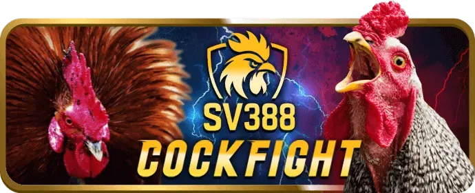 Đội ngũ hỗ trợ khách hàng 24/7 chuyên nghiệp của 33win9