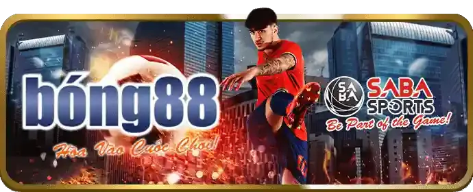 Biểu đồ tỷ lệ cược cạnh tranh và được cập nhật liên tục tại 33win9